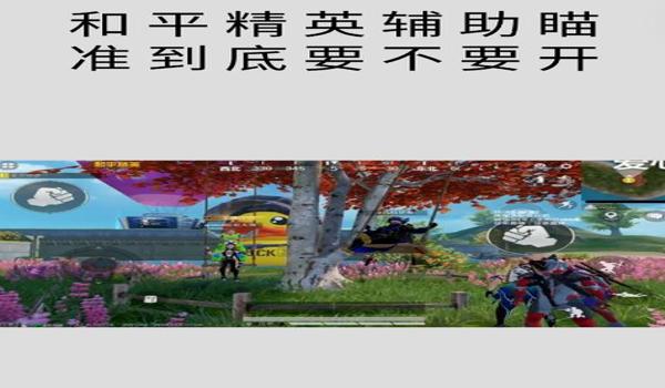 和平精英辅助透视免费版（《和平精英辅助透视免费版》有哪些主要功能和优势？）