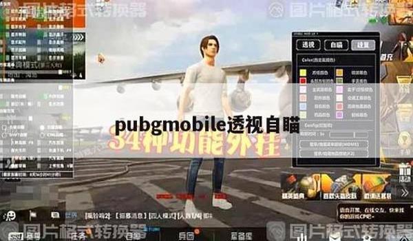 pubg自瞄锁头辅助器（pubg自瞄锁头辅助器的工作原理是什么？）